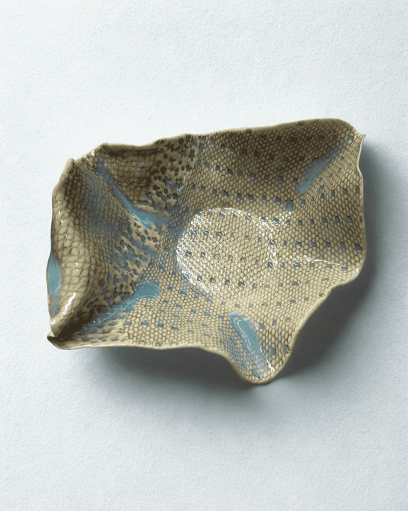 Porzellan Schale Ausstellungsstück 01